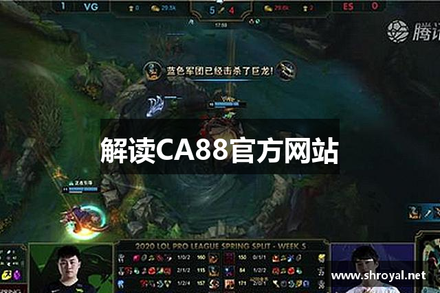 解读CA88官方网站